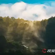 HKA血洗C9，Ruler打出惊人五杀峡谷大战入围赛，点燃全场激情