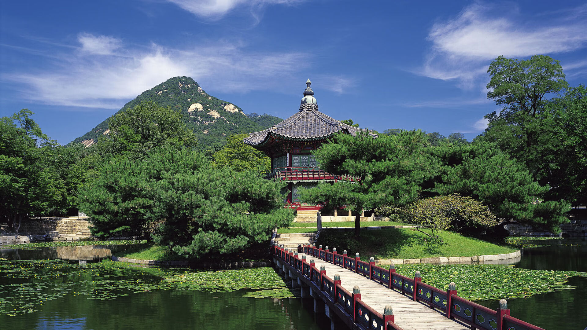 世界排名争夺战，尼日利亚闪电战击溃波兰，非洲雄鹰展翅高飞！